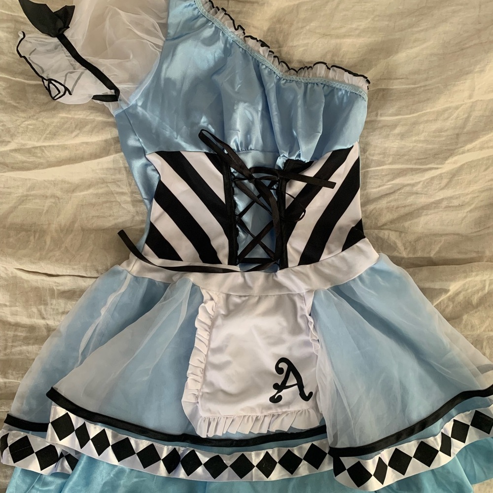 Alice in Wonderland Costume